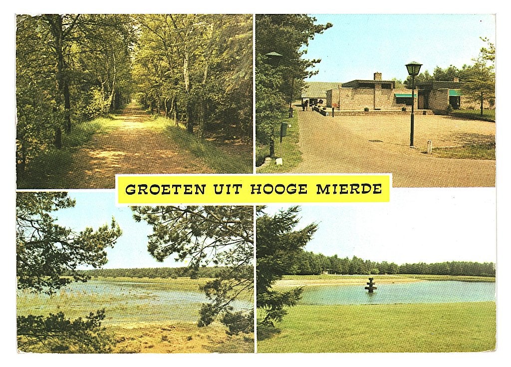 37288 Hooge Mierde N B 1979 Gel in 81 Zwartven  mooie zegel