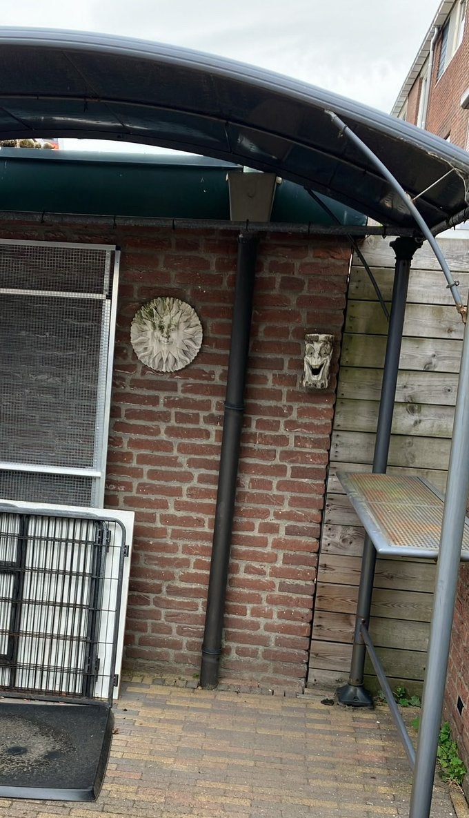 Leuke overkapte boog voor in de tuin, Ophalen of Verzenden