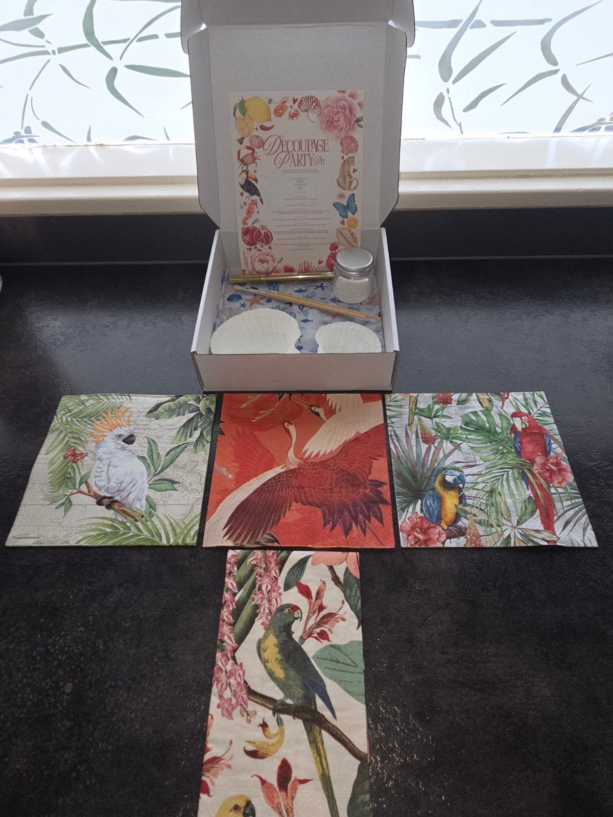 Decoupage DIY pakket - Tropische vogels, Ophalen of Verzenden, Nieuw, Knutselwerk
