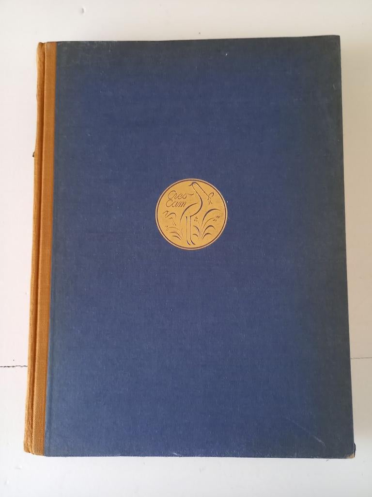 w17 Ostasiatisches Gerät - Otto Kümmel - 1925, Boeken, Ophalen of Verzenden, Gelezen