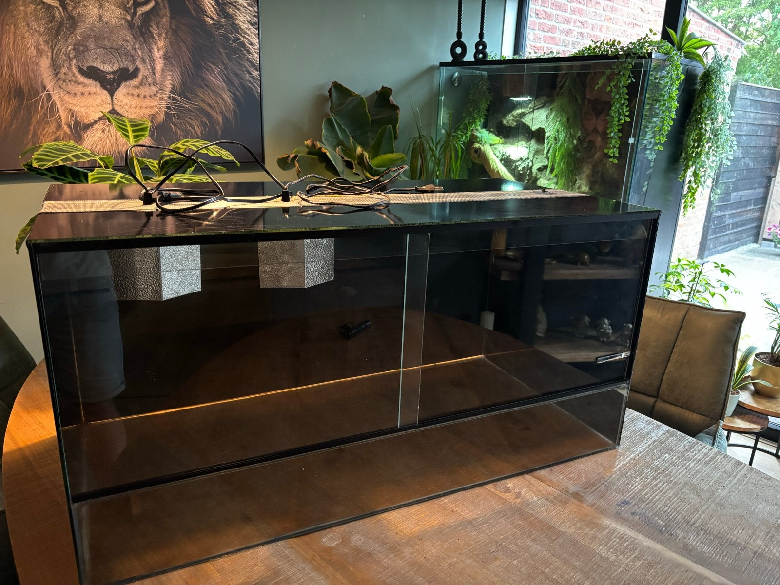 Terrarium 100x50x50, Dieren en Toebehoren, Reptielen en Amfibieën | Toebehoren, Ophalen