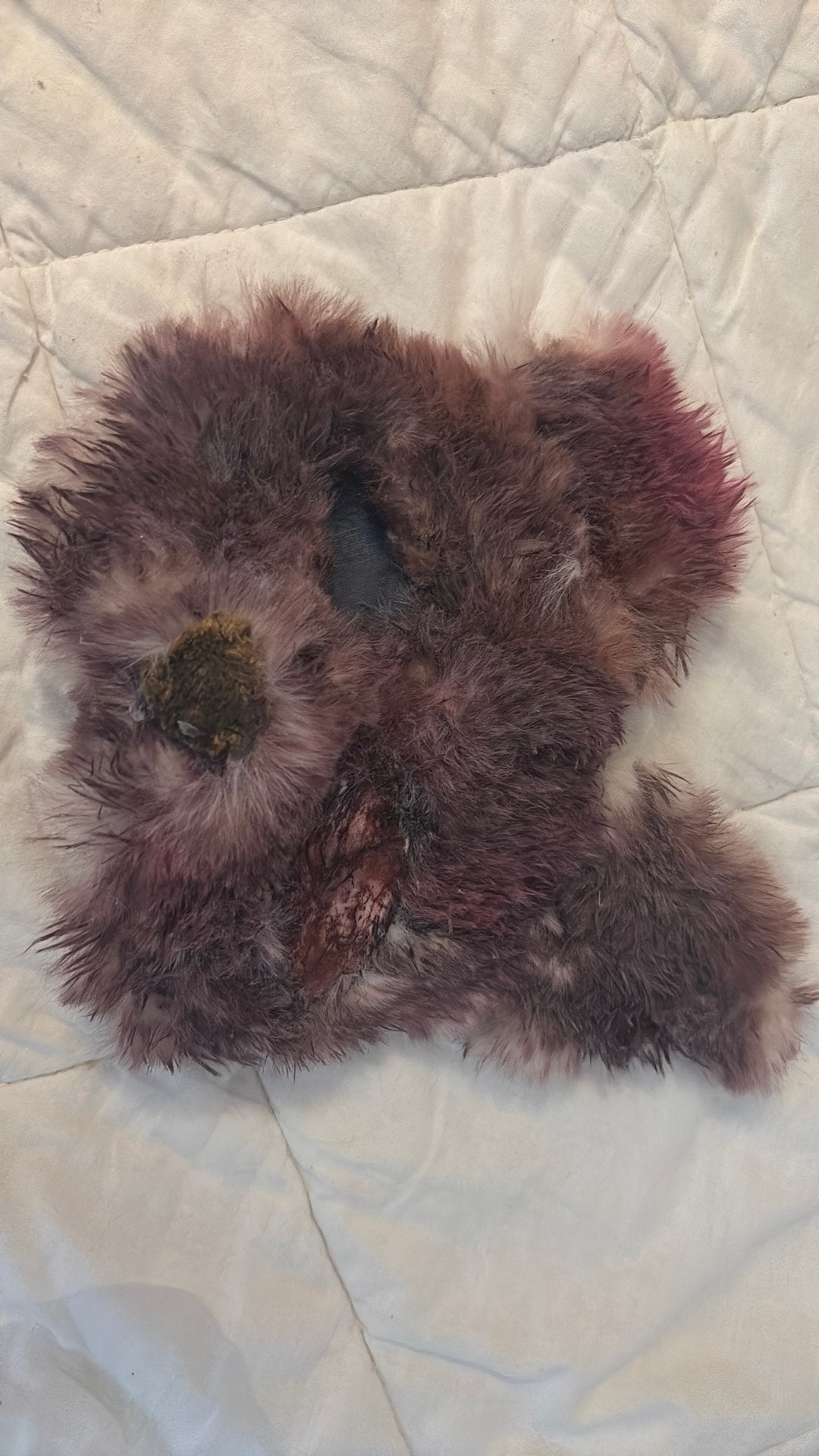 Gewond katten masker, Ophalen, Zo goed als nieuw, Accessoires