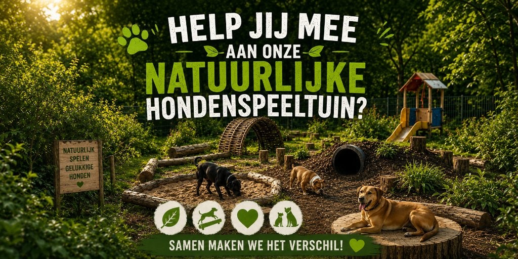gezocht: boomstammen, stronken, keien, Ophalen, Gebruikt