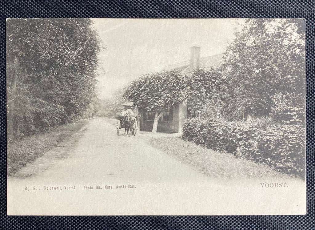 Voorst, Koldeweij - ongelopen, Ophalen of Verzenden, 1940 tot 1960, Ongelopen, Gelderland
