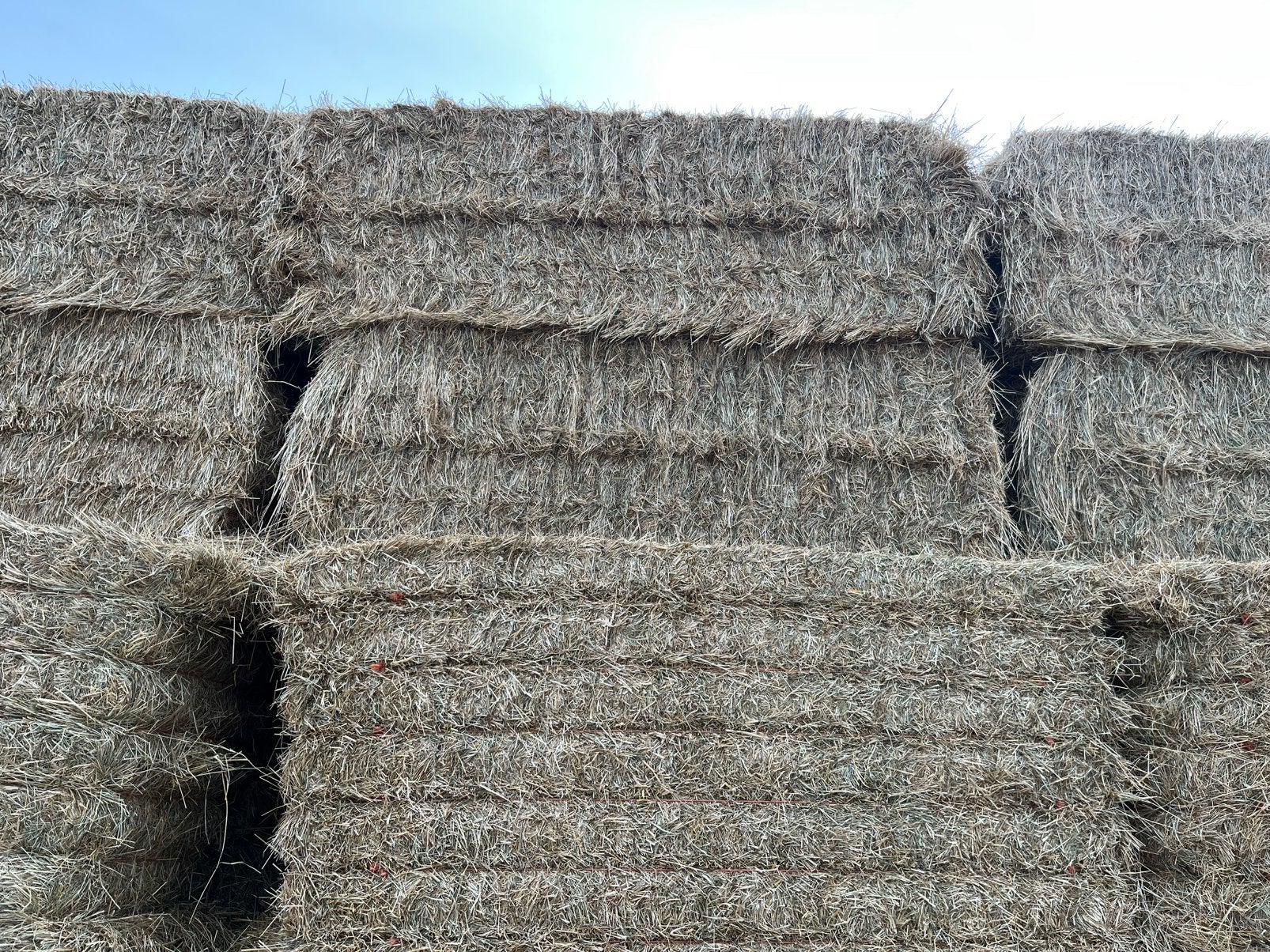Grote balen  en kleine baaltjes Rietzwenk Graszaadhooi, Ophalen of Verzenden, Vee