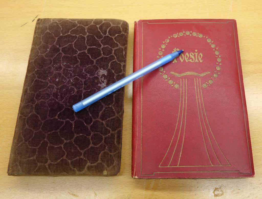 2 antieke poezie albums - poesie - 1898 & 1913, Verzenden