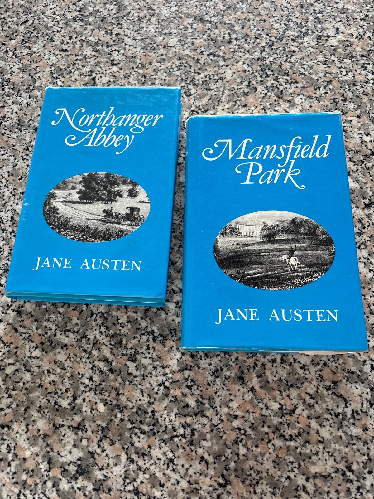 Jane Austen: Northanger Abbey & Mansfield Park (2 boeken), Ophalen of Verzenden, Zo goed als nieuw, Europa overig