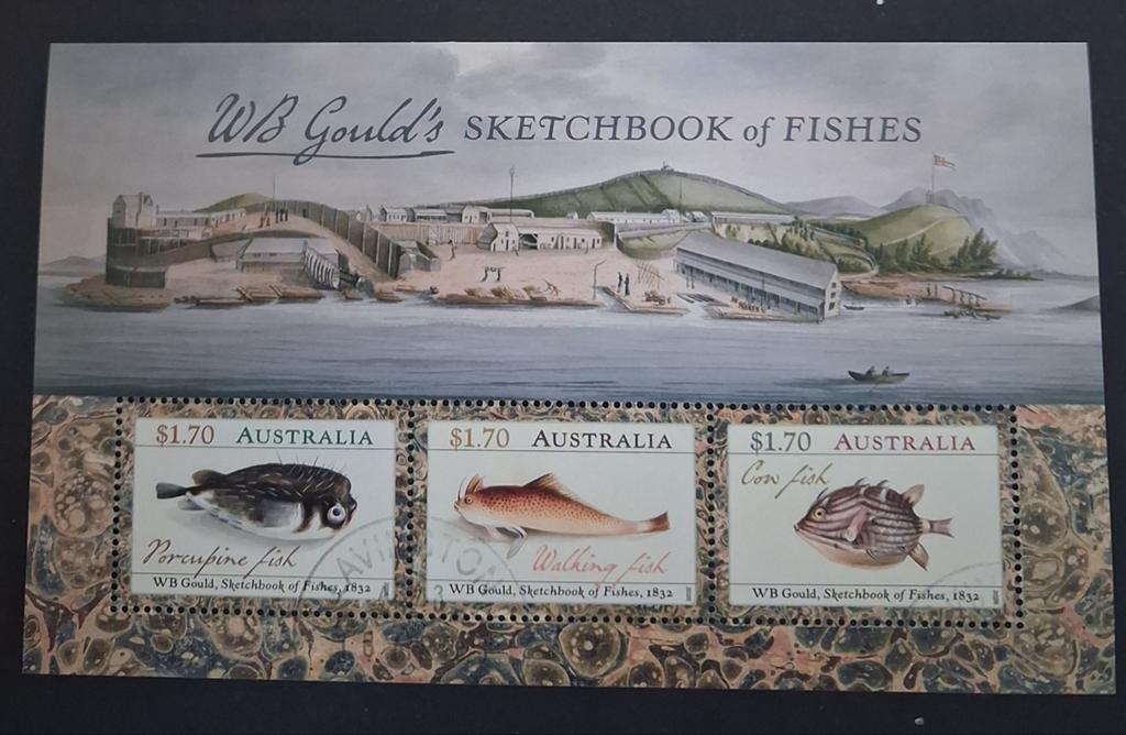 AUSTRALIË 2026: VELLETJE SKETCHBOOK OF FISHES, Ophalen of Verzenden