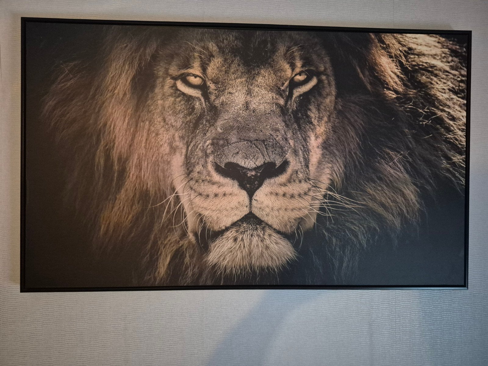 Grote Leeuwenkop Schilderij 120x70, 50 – 75, Ophalen of Verzenden, Zo goed als nieuw, Schilderij