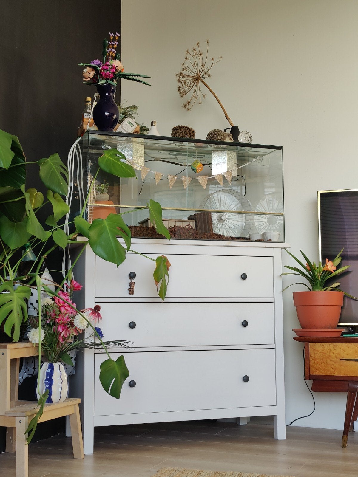 Terrarium 100x50x50 incl. toebehoren, Ophalen, Zo goed als nieuw, Terrarium of Paludarium