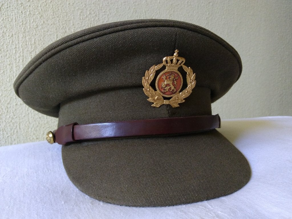 Pet DT oud model overgangsperiode 1963 Koninklijke Landmacht, Ophalen of Verzenden, Landmacht, Nederland, Helm of Baret