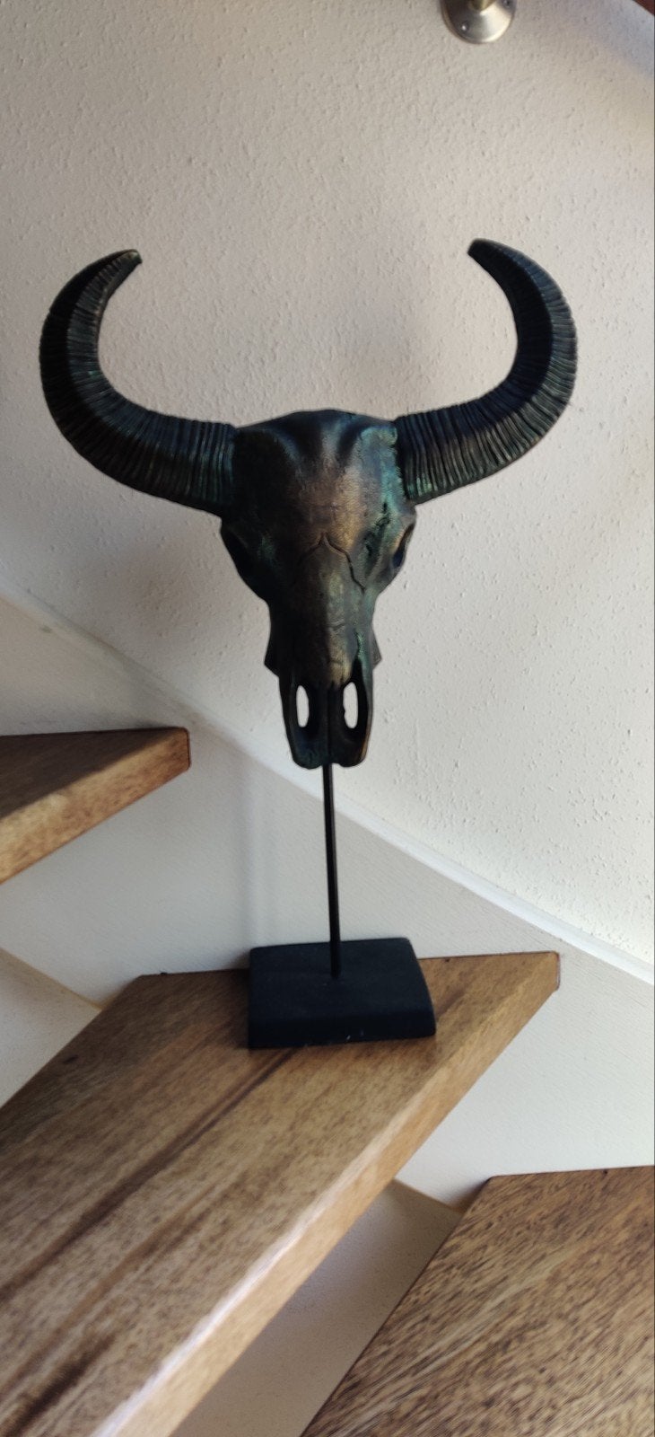 Decoratieve Buffelschedel op Standaard, Antiek en Kunst, Kunst | Beelden en Houtsnijwerken, Ophalen, Overige onderwerpen, Handgemaakt