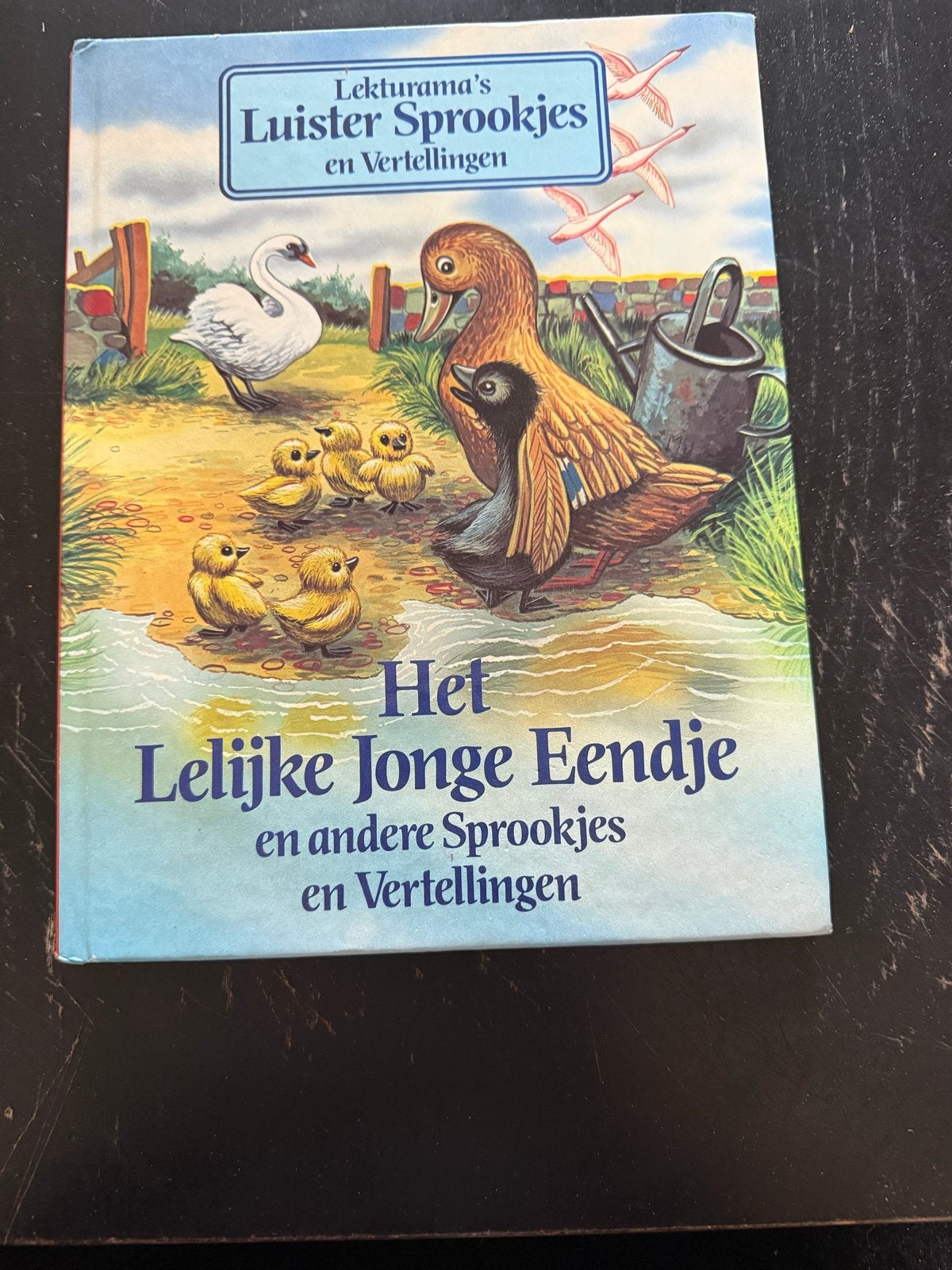 Het Lelijke Jonge Eendje en andere Sprookjes en Vertellingen, Ophalen of Verzenden, Gelezen