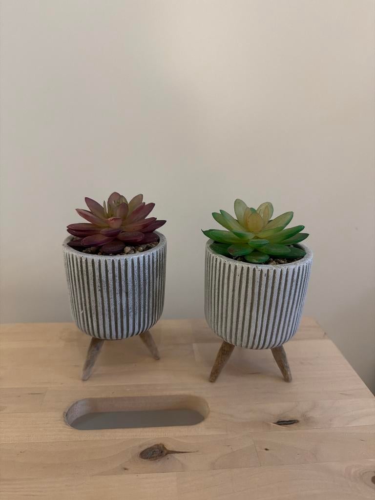 Sierlijke kunst vetplantjes, Binnen, Kunstplant, Ophalen of Verzenden, Zo goed als nieuw