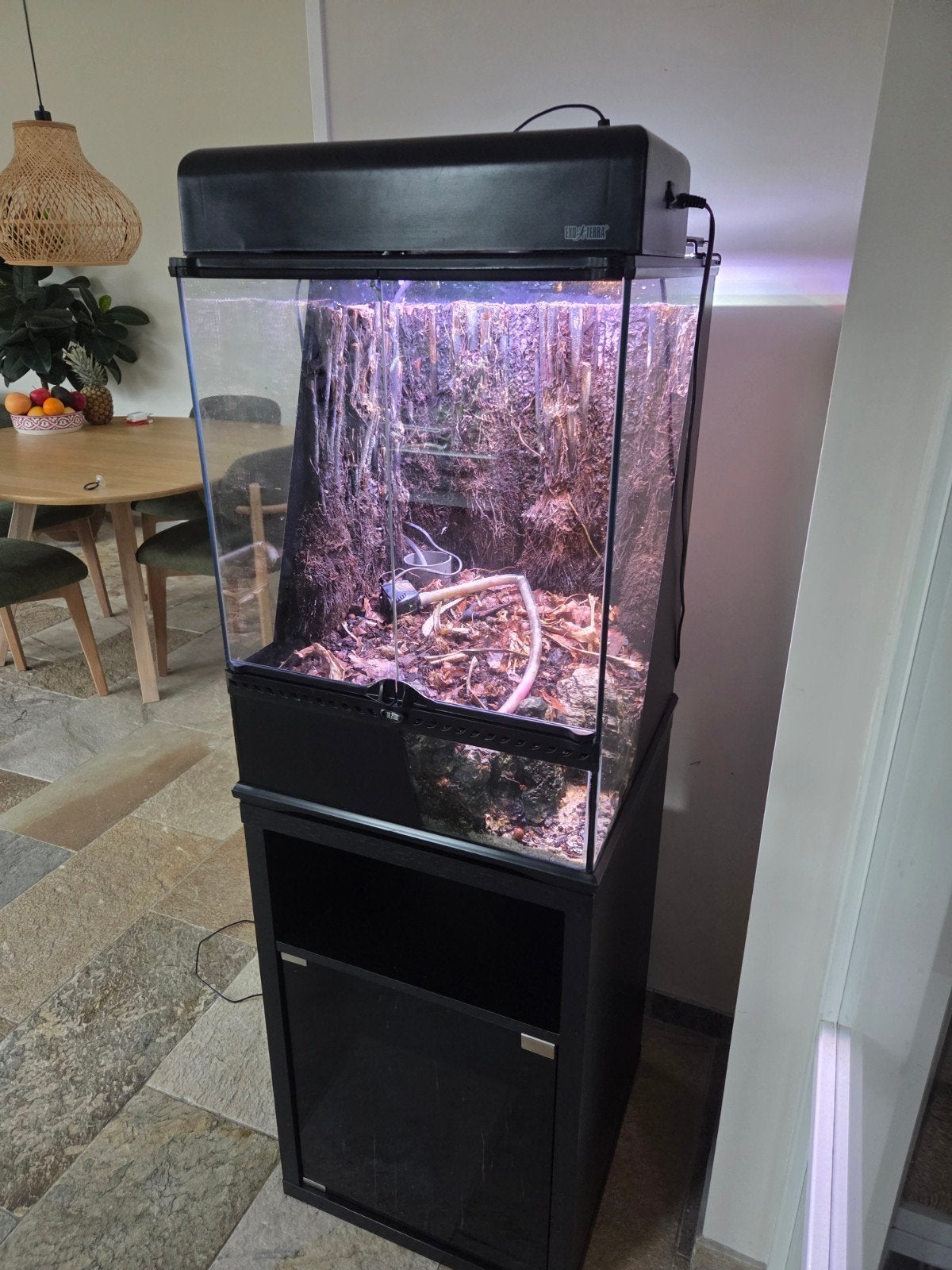 Exoterra terrarium + toebehoren, Dieren en Toebehoren, Reptielen en Amfibieën | Toebehoren, Ophalen, Gebruikt, Terrarium of Paludarium