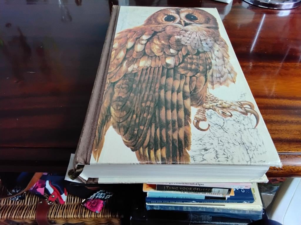Mooi dik vogelboek, Boeken, Ophalen of Verzenden, Zo goed als nieuw