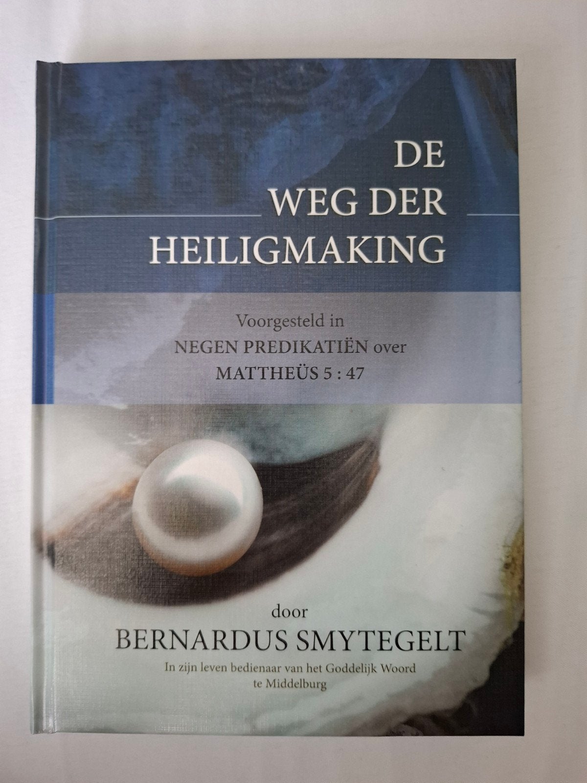 B. Smytegelt - De weg der heiligmaking, Ophalen of Verzenden, Zo goed als nieuw, B. Smytegelt