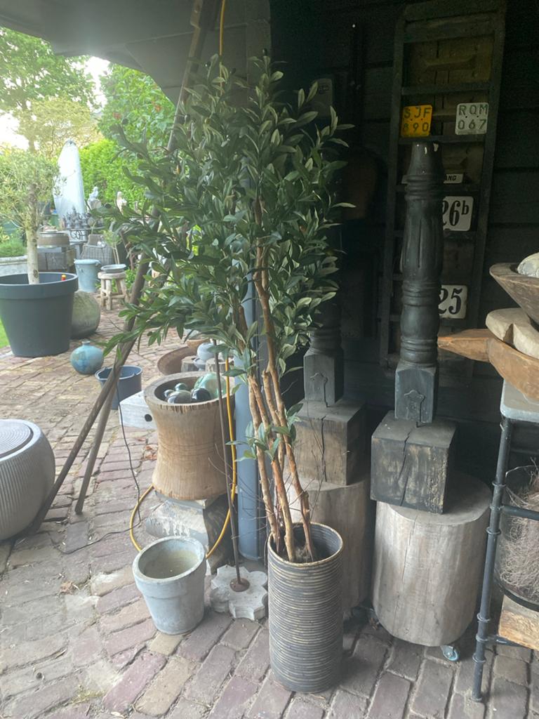 Kunst Olijfboom - Realistische Decoratie voor Thuis, Huis en Inrichting, Binnen, Groen, Kunstplant, Nieuw