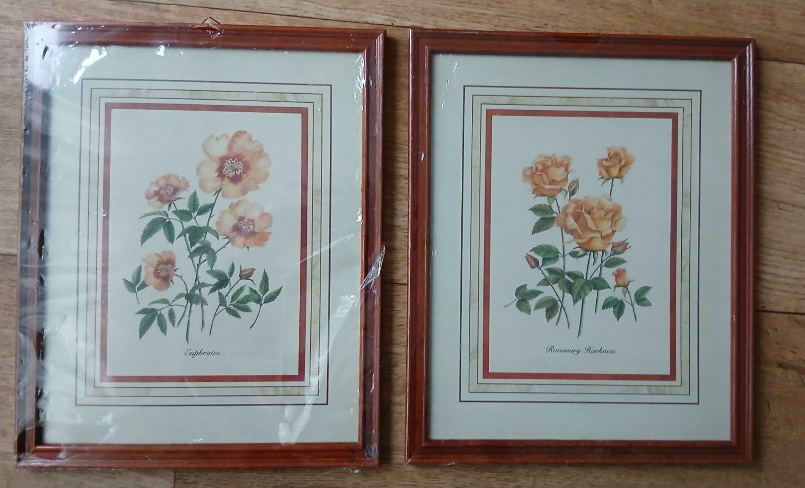Lijsten met Print  2st, Ophalen of Verzenden, Nieuw
