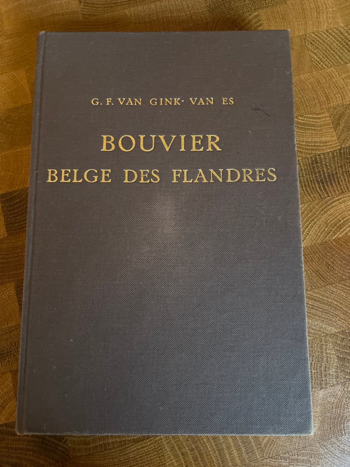 Bouvier Belge des Flandres - G.F. van GINK VAN ES, Ophalen of Verzenden, Gelezen, Honden