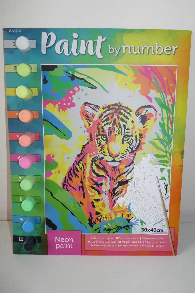 nieuw schilder op nummer neon 30x40 cm, Hobby en Vrije tijd, Ophalen of Verzenden, Nieuw, Schilderen op nummer