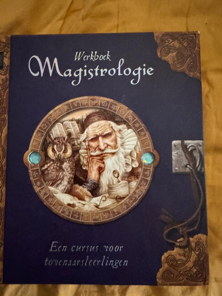 D. Steer - Werkboek magistrologie, Ophalen of Verzenden, Zo goed als nieuw, D. Steer, Fictie algemeen