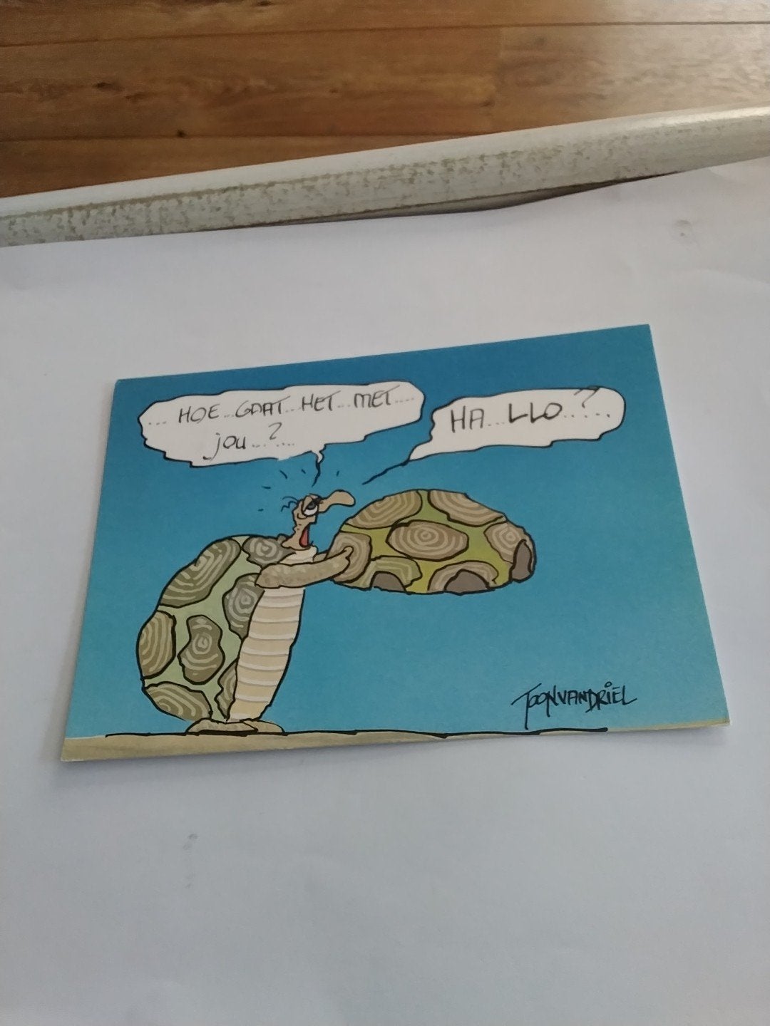 Grappige ansichtkaart met schildpadden - Toon van Driel, Ophalen of Verzenden, 1980 tot heden, Gelopen