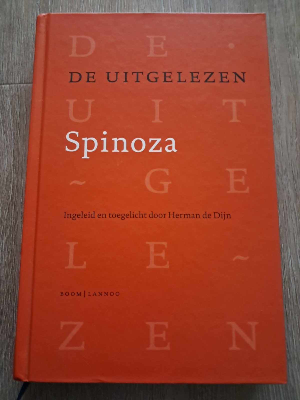 De Uitgelezen Spinoza - Ingeleid door Herman de Dijn, Boeken, Ophalen of Verzenden, Zo goed als nieuw, Wijsbegeerte of Ethiek