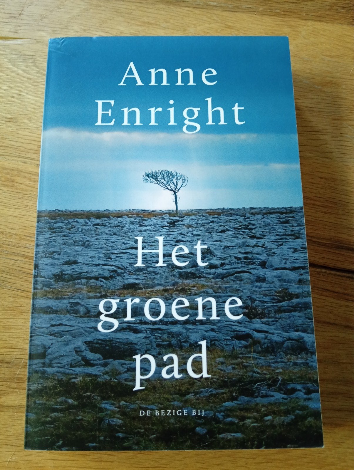 Het groene pad - Anne Enright (roman), Anne Enright, Ophalen of Verzenden, Zo goed als nieuw, Nederland