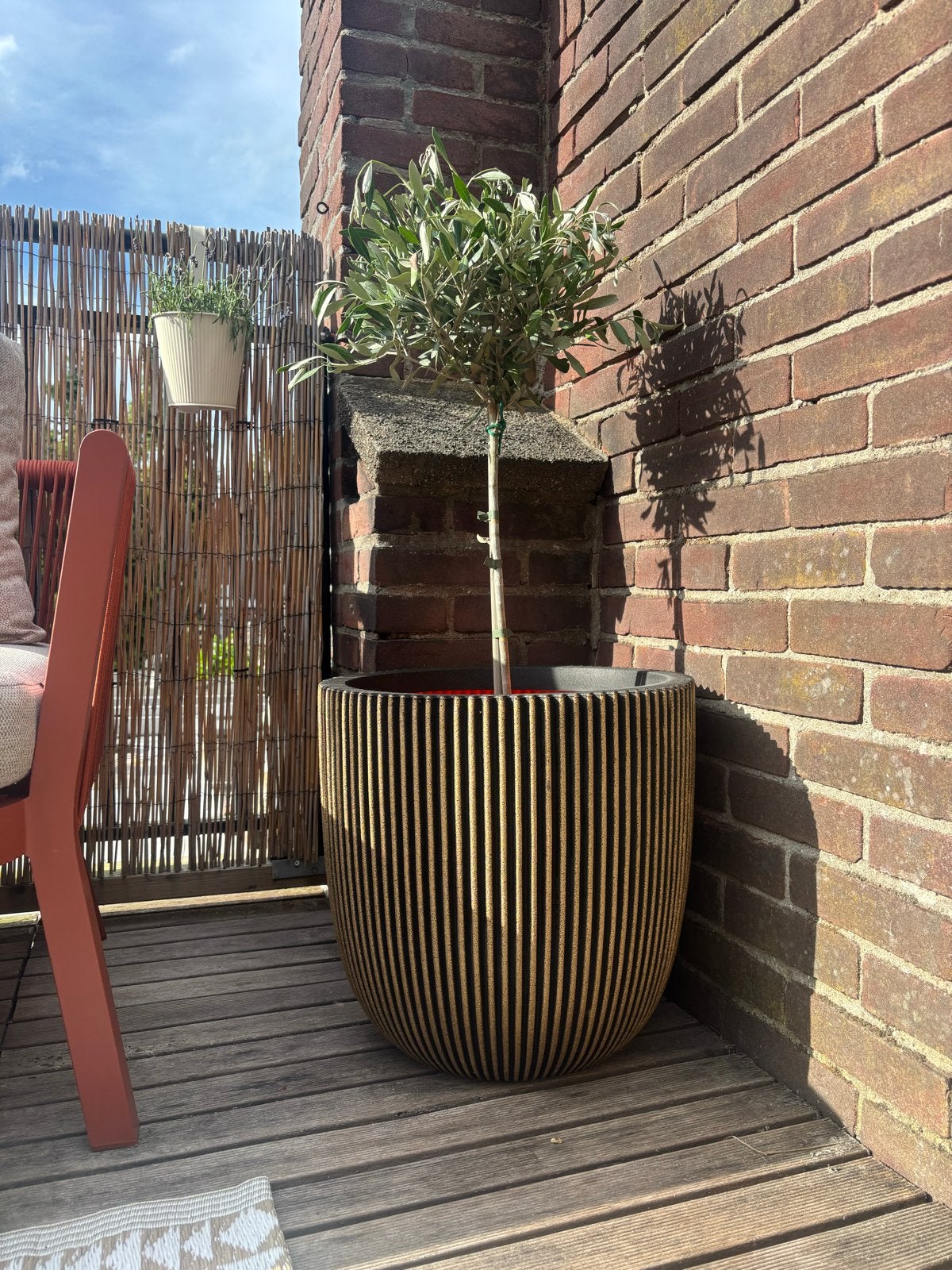 Nieuwe Capi Europe Groove plantenbak 43x41 cm - Zwart/Goud, Kunststof, Minder dan 60 cm, Rond, Nieuw