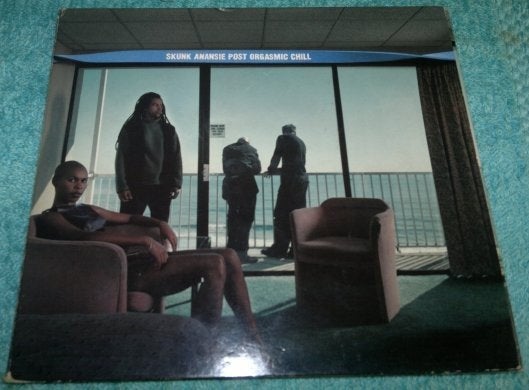 CD Skunk Anansie - Post orgasmic chill, in nieuwstaat, Ophalen of Verzenden, Zo goed als nieuw, Album