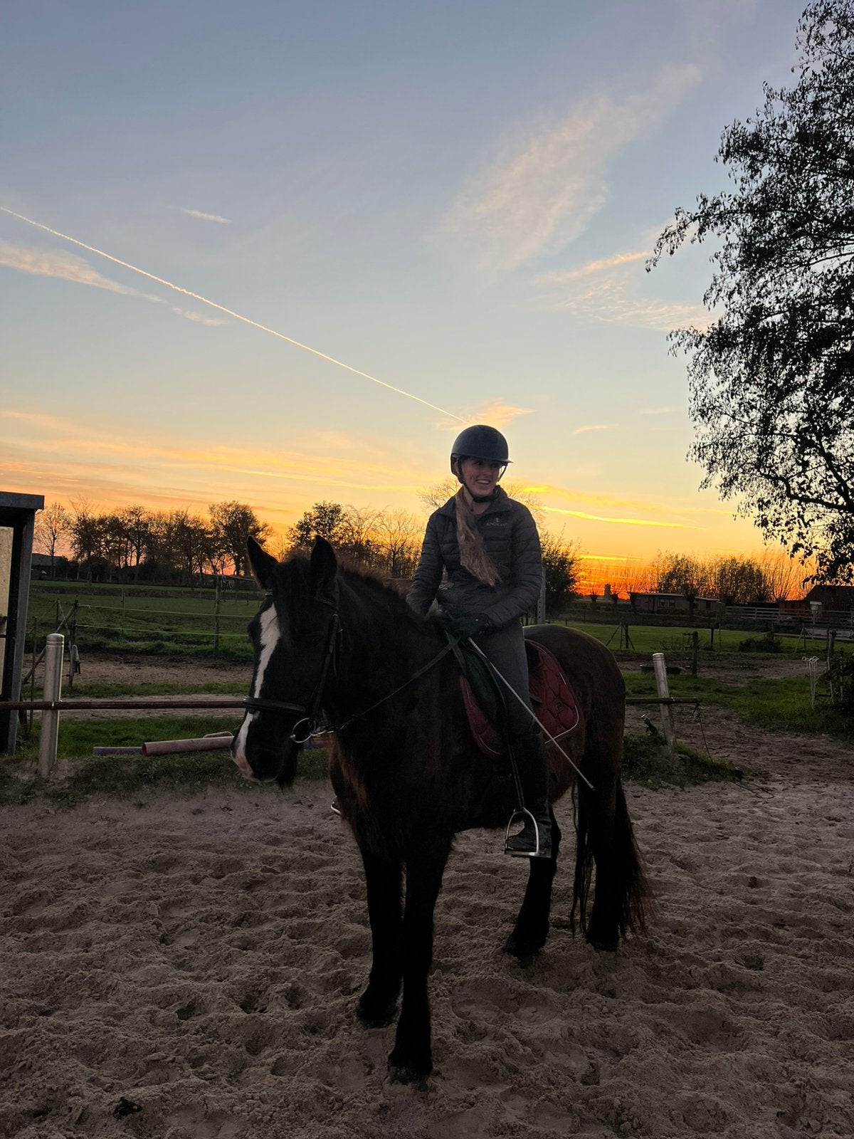 Bijrijd/lease paard gezocht, Ophalen of Verzenden