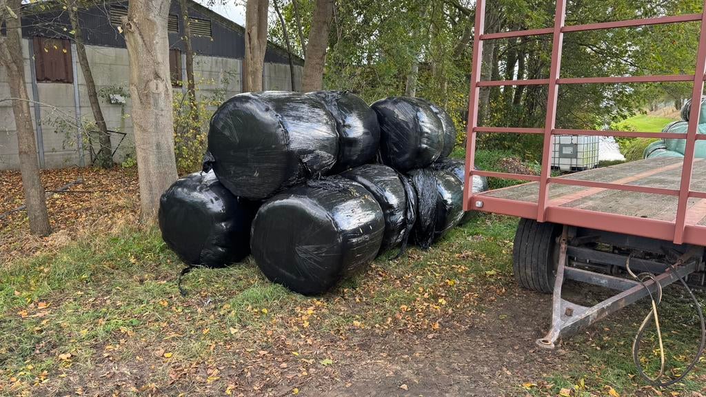 Grote ronde voordroog balen te koop, Dieren en Toebehoren, Dierenvoeding, Ophalen, Vee