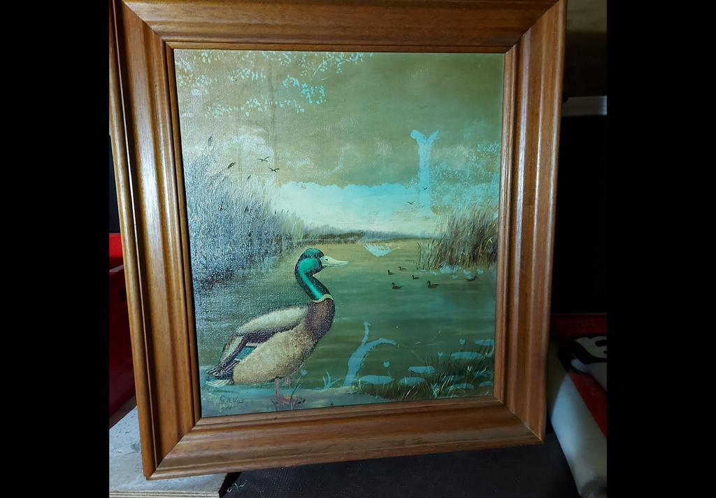 SCHILDERIJ VAN G.DE VOS, Ophalen
