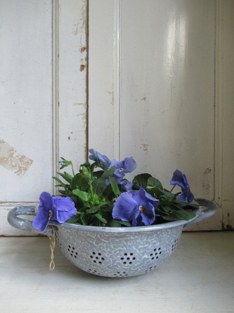 ~ oud emaille vergiet, bricbracbrocante ~, Ophalen of Verzenden