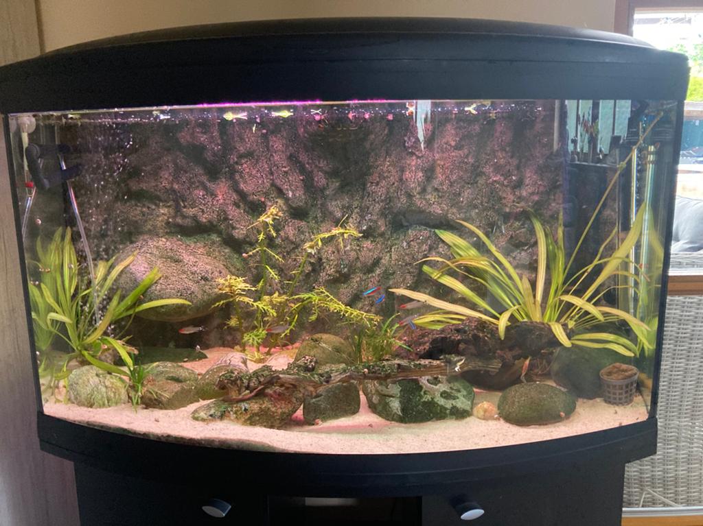Te koop Aquarium 80x40x40 cm incl. Onderkast en toebehoren, Dieren en Toebehoren, Vissen | Aquaria en Toebehoren, Ophalen, Gebruikt