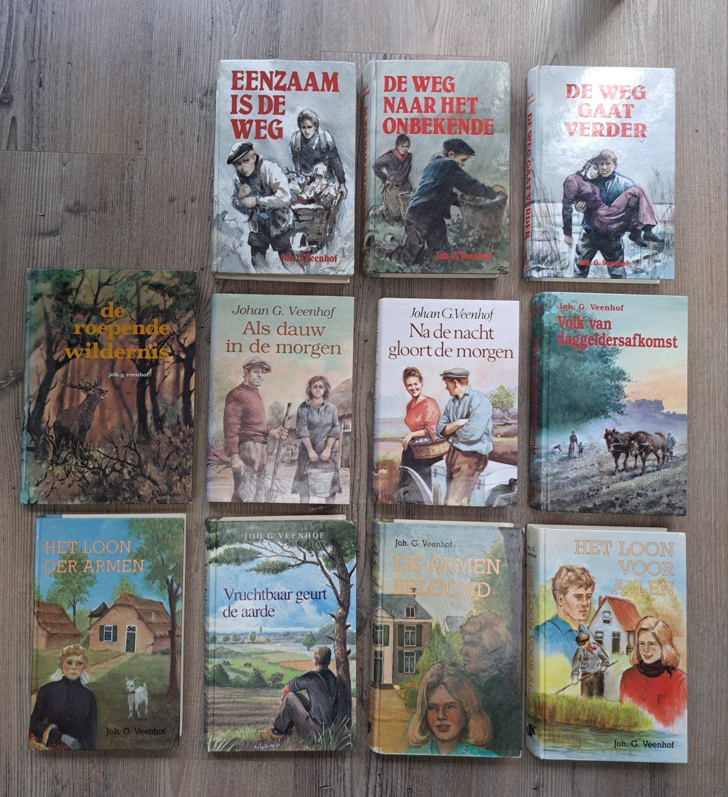 Johan G. Veenhof Boeken Collectie - 11 stuks, Boeken, Ophalen of Verzenden, Gelezen, Johan G. Veenhof, Nederland