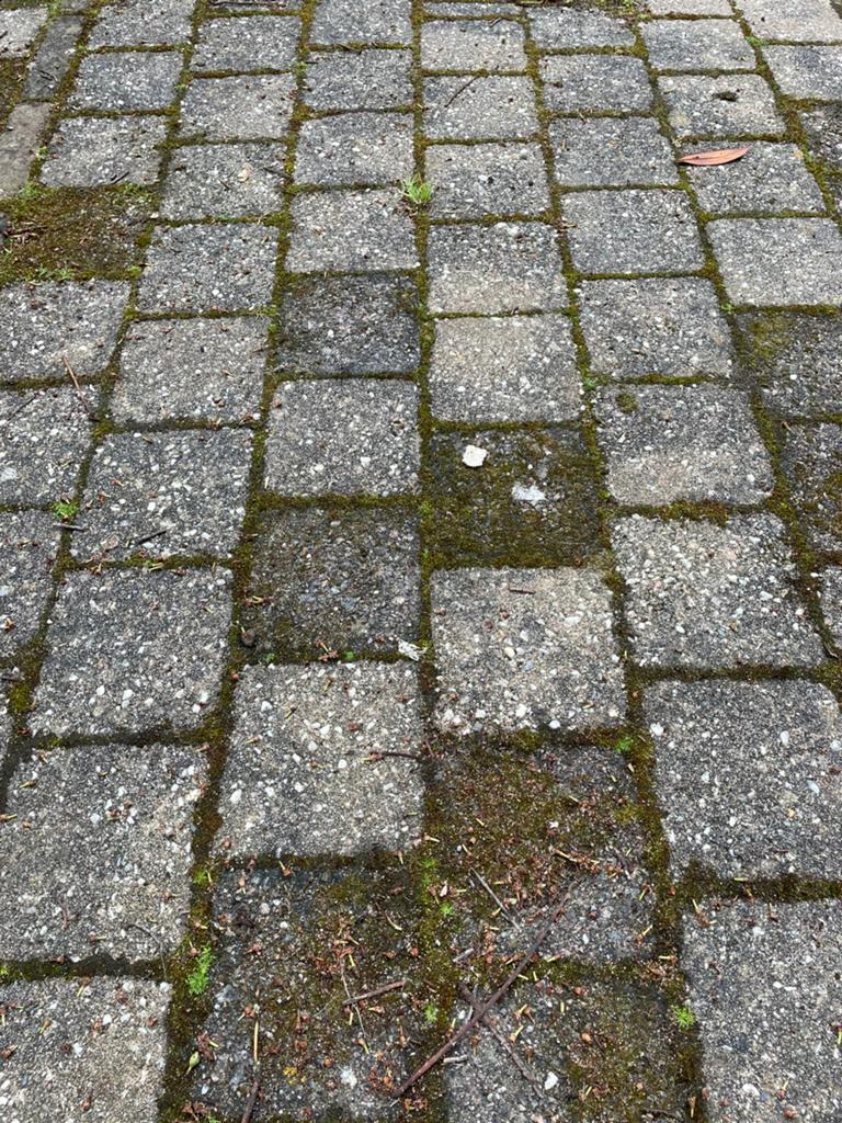 Tegels 6x14x14 (24 m2), Tuin en Terras, Ophalen, Nieuw, 10 m² of meer, Beton