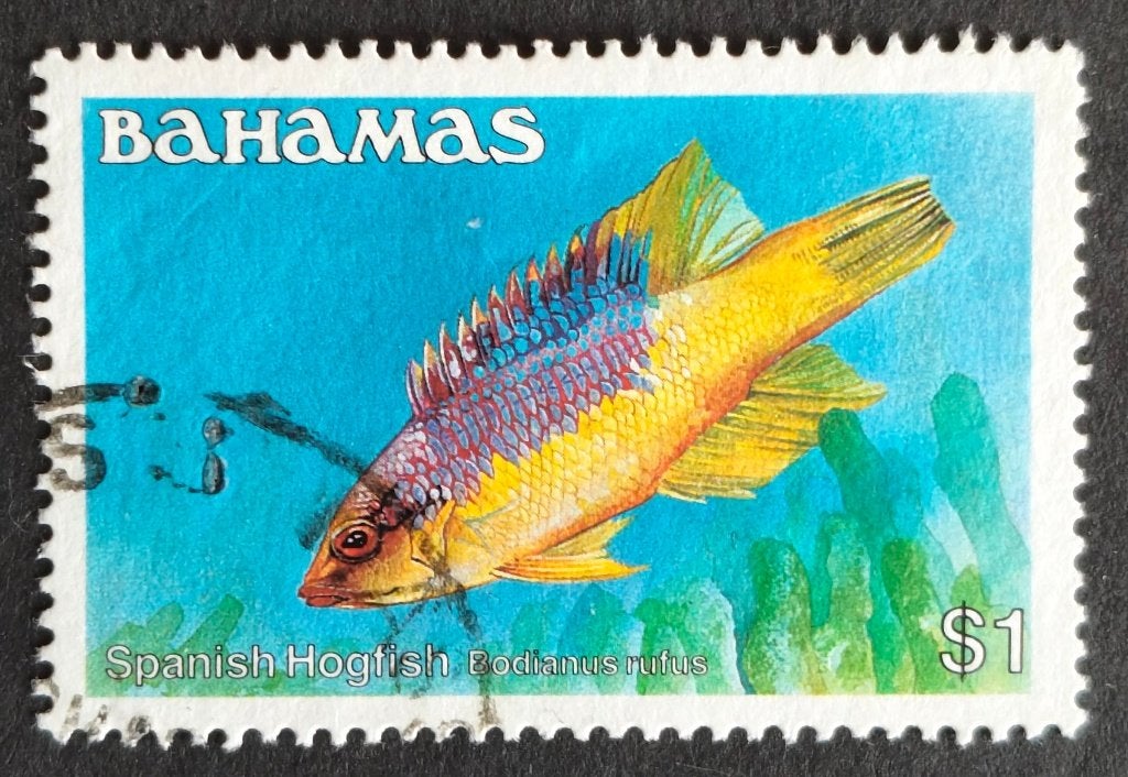 BAHAMA's - vis (Spaanse varkenslipvis) 1986, Ophalen of Verzenden, Gestempeld, Noord-Amerika