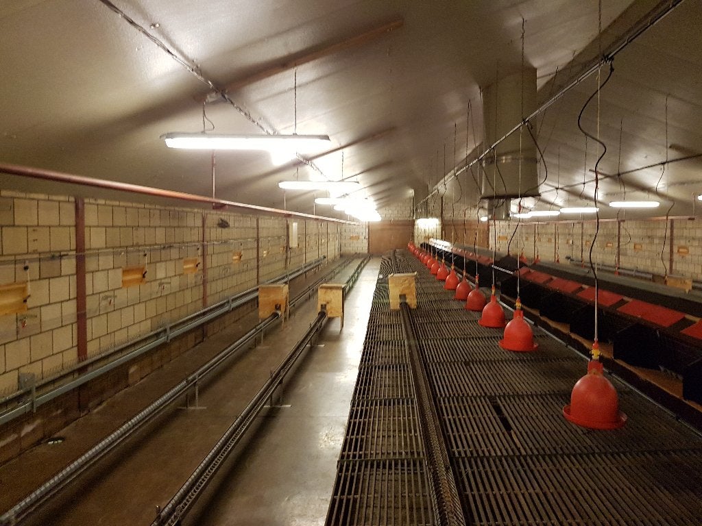 pluimvee inventaris, Dieren en Toebehoren, Ophalen, Gebruikt, Drinken en Voederen