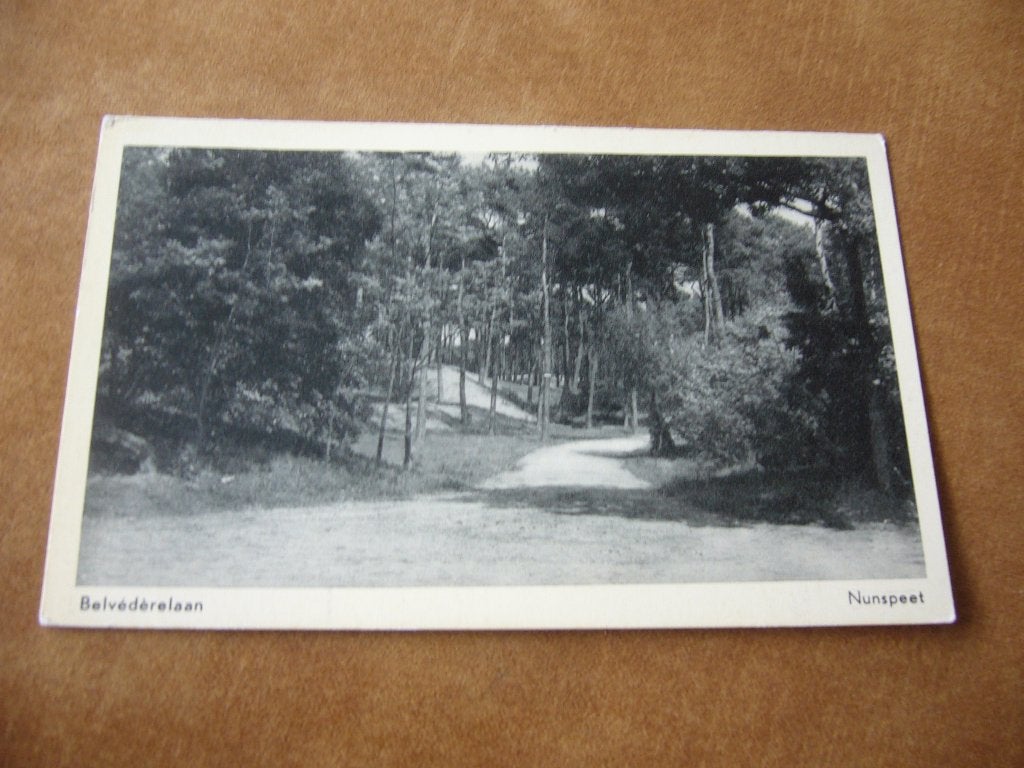 NUNSPEET  =  BELVEDERELAAN, Ophalen of Verzenden, 1940 tot 1960, Ongelopen, Gelderland
