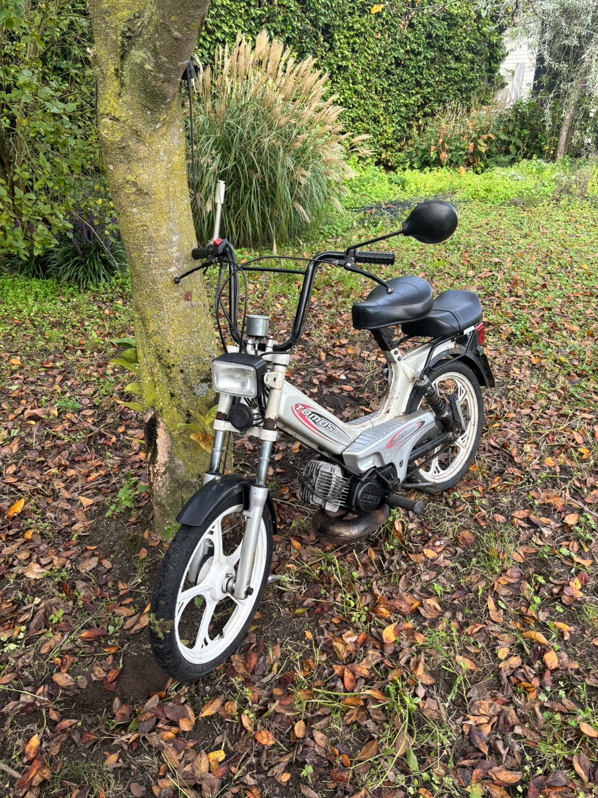 Tomos A35 Quadro geel kenteken, Ophalen, Gebruikt, Maximaal 45 km/u, 2 versnellingen