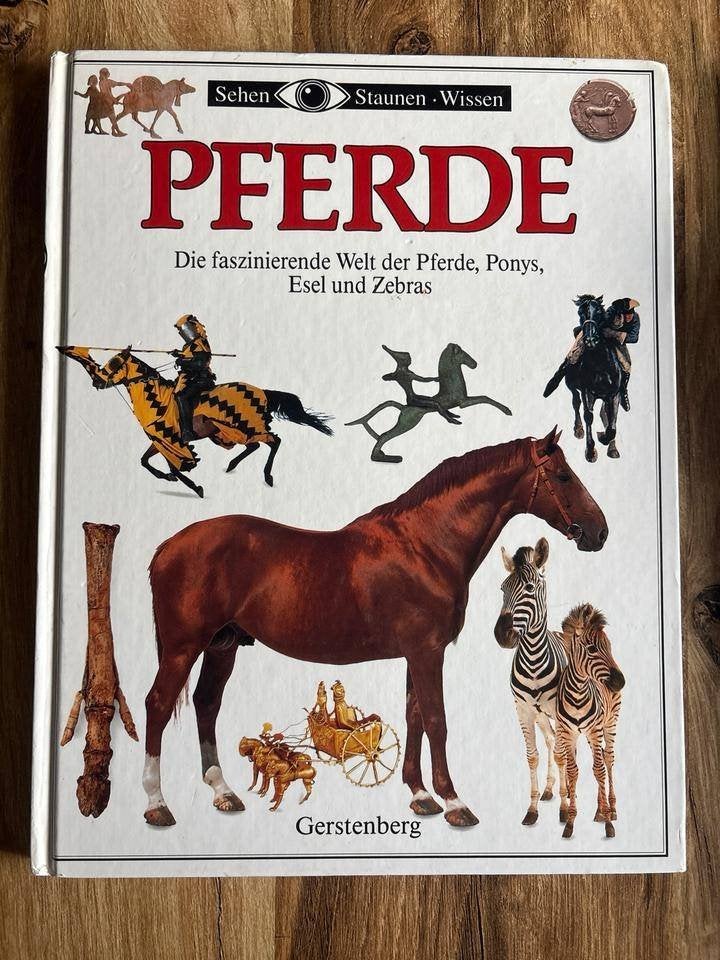 PAARDEN — de fascinerende wereld van paarden, pony's, ezels., Ophalen of Verzenden, Zo goed als nieuw, Natuur algemeen