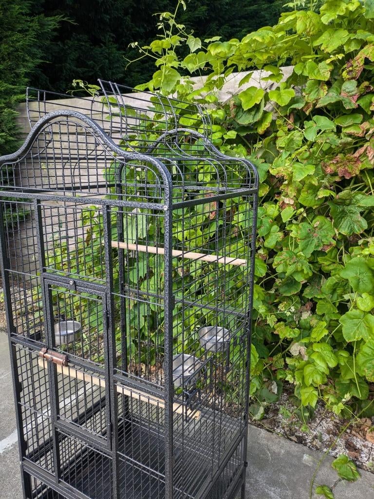 PAPEGAAIENKOOI NIEUW, Ophalen of Verzenden, Nieuw, Metaal, Vogelkooi
