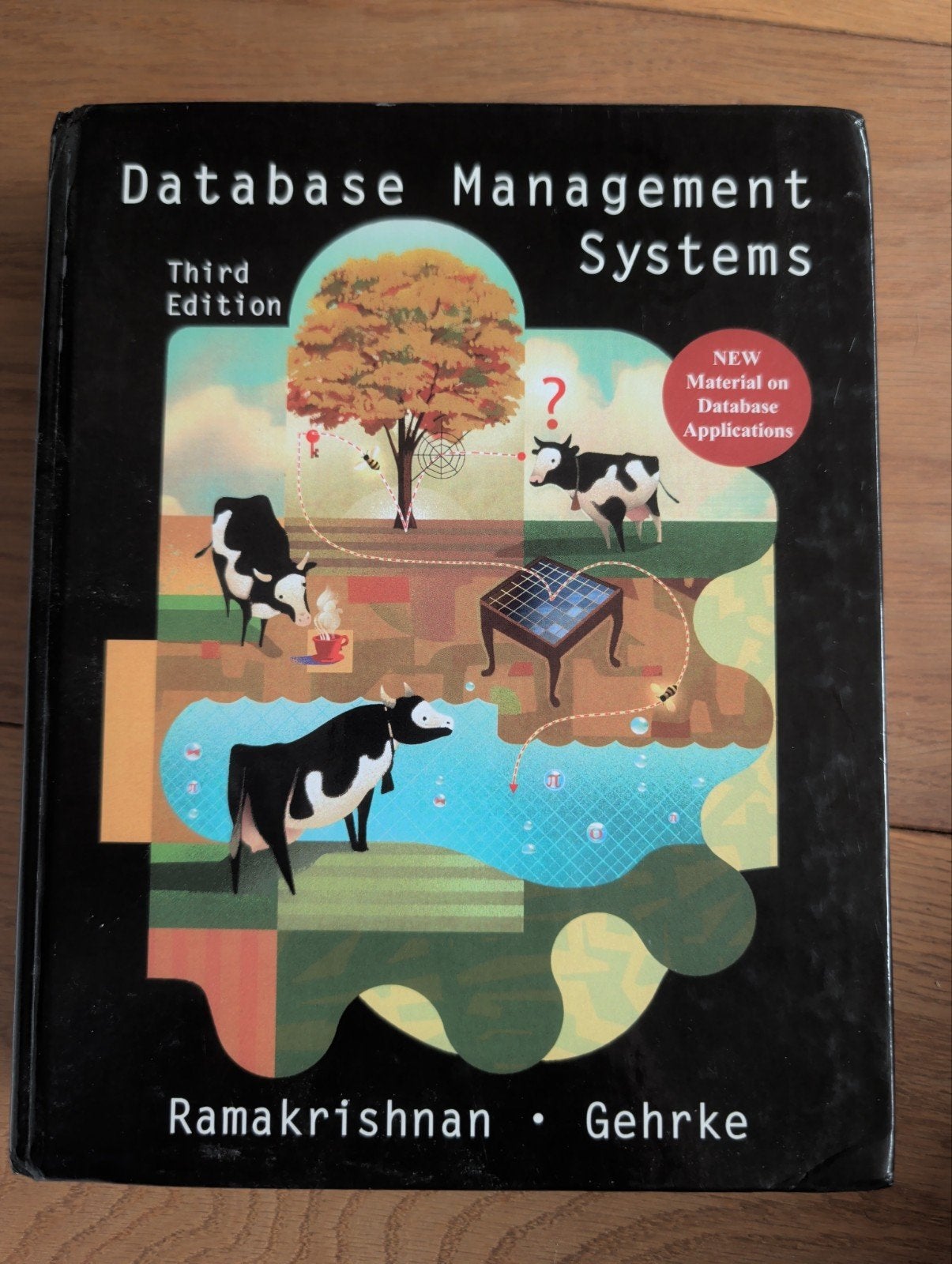Database Management Systems - Ramakrishnan  (3rd Ed.), Boeken, Studieboeken en Cursussen, Ramakrishnan & Gehrke, Nieuw, Ophalen of Verzenden