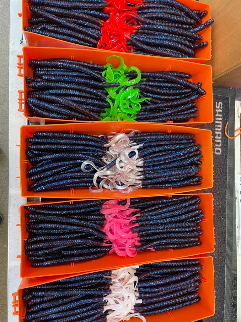 Ringwormen 15 cm electric blue, Ophalen of Verzenden, Nieuw, Overige typen
