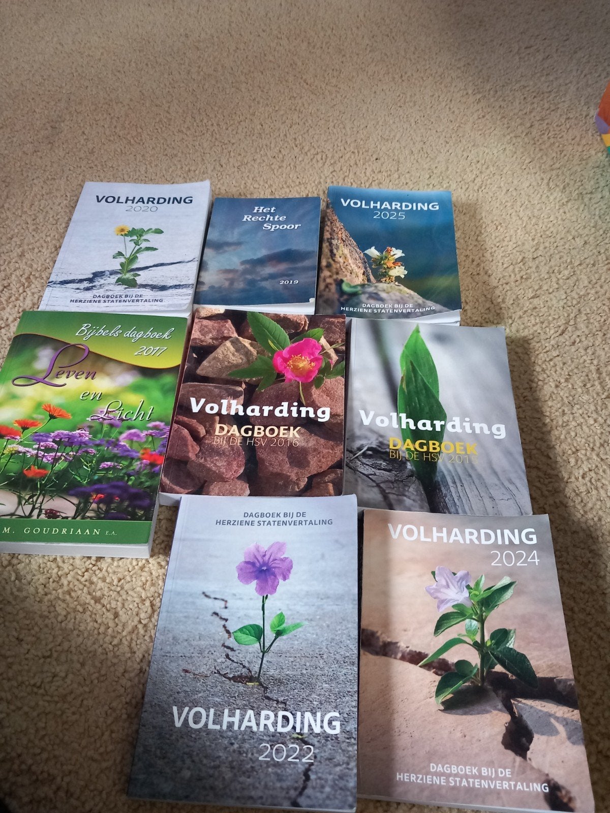 Diverse Dagboeken, Boeken, Ophalen of Verzenden, Gelezen, Christendom | Protestants