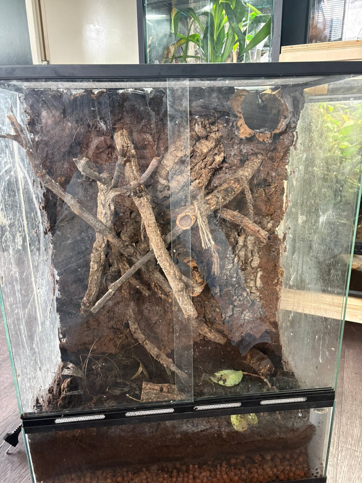 Terrarium 60x40x80, Ophalen, Zo goed als nieuw