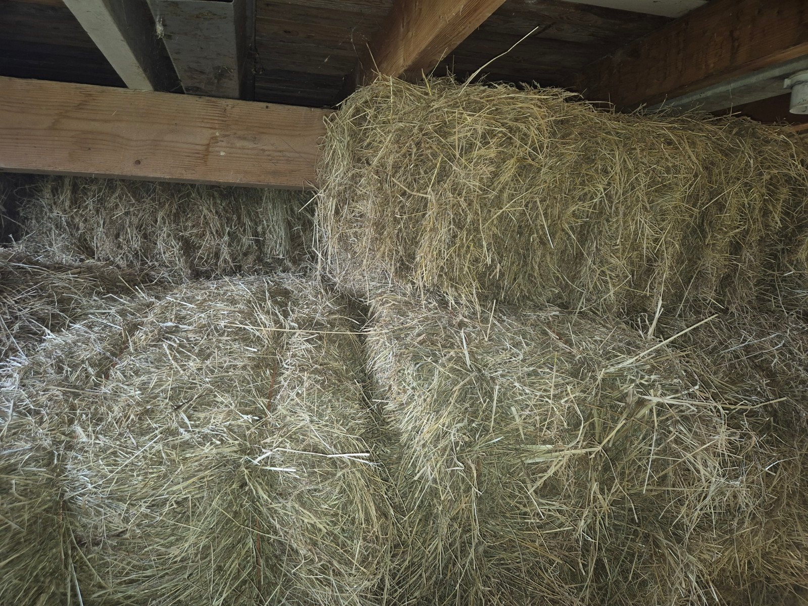 80 kleine pakjes hooi 2025, geschikt voor paarden, Dieren en Toebehoren, Dierenvoeding, Ophalen, Vee
