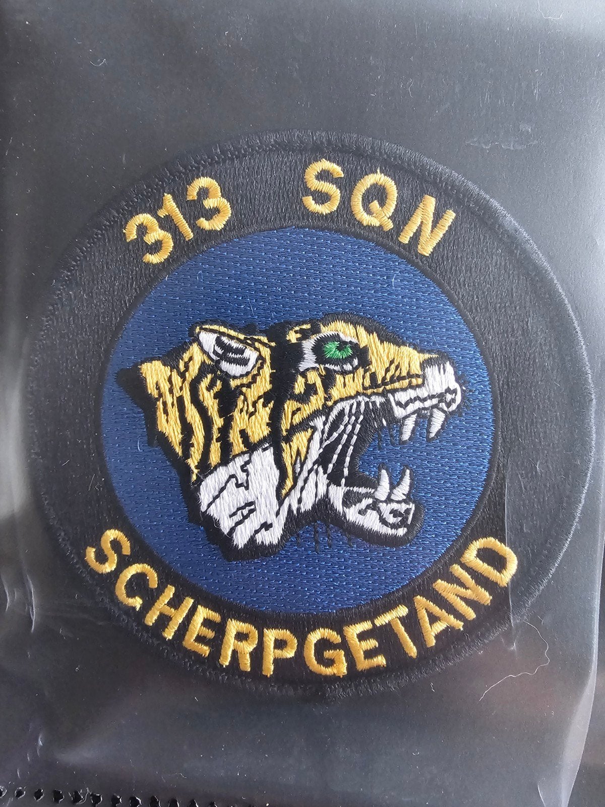 patch 313 squadron